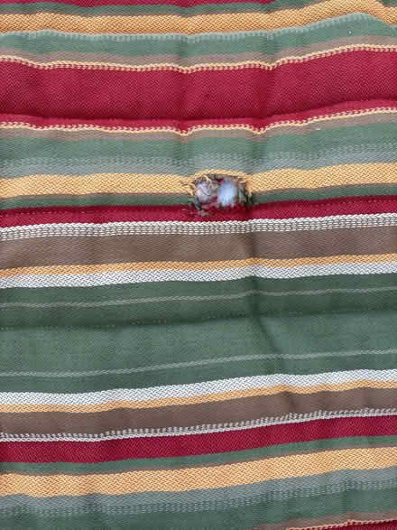 Photo of free Hammock & stand (north Downers Grove) #2