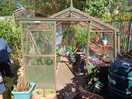 Photo of free Alton cedar framed greenhouse. (Neville's Cross DH1) #1