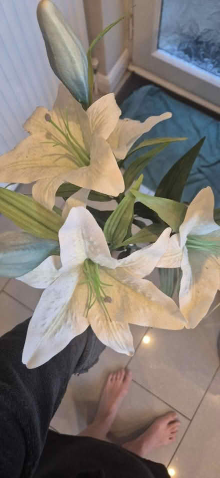 Photo of free Fake flowers (Abbeydale Gloucester) #1