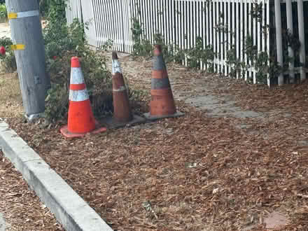 Photo of free Cones, Flower pots & trash bins (Richmond) #3