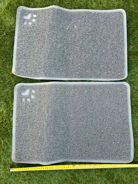 Photo of free Rubber cat litter tray Matts (Twickenham TW2) #1