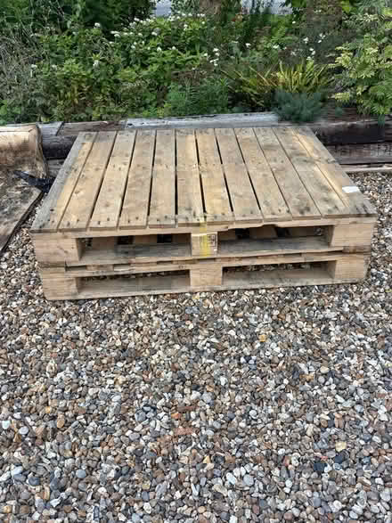 Photo of free 2 wooden pallets (Blackmore end wheathampstead) #1