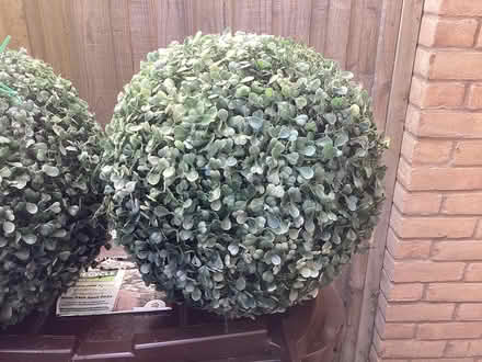 Photo of free 2 large green plastic garden balls (Southport PR9) #2