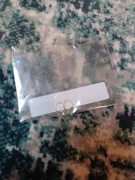 Photo of free Small silver hoop earrings (Cheltenham GL51) #1