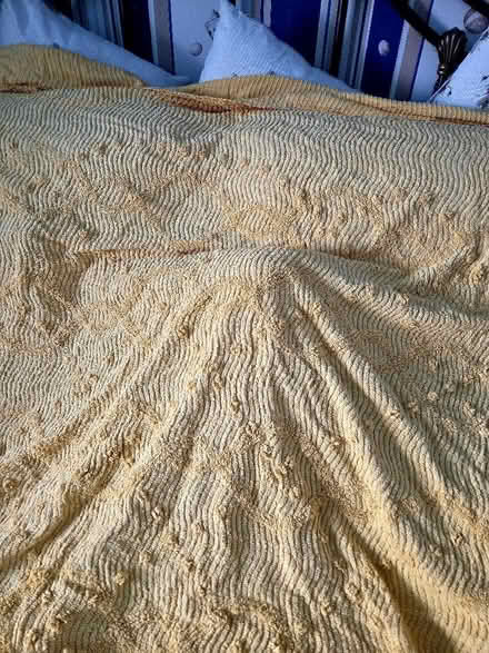 Photo of free Vintage bed throw king size (Worksop S81) #1