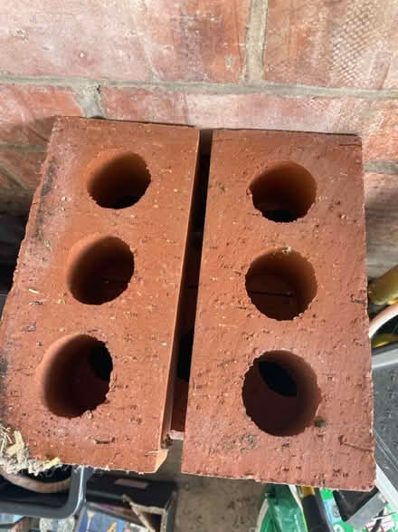 Photo of free bricks (Denton) #2