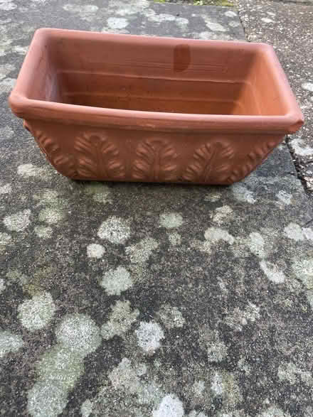 Photo of free Small rectangular planter/plant pot (Wallands Park BN7) #1
