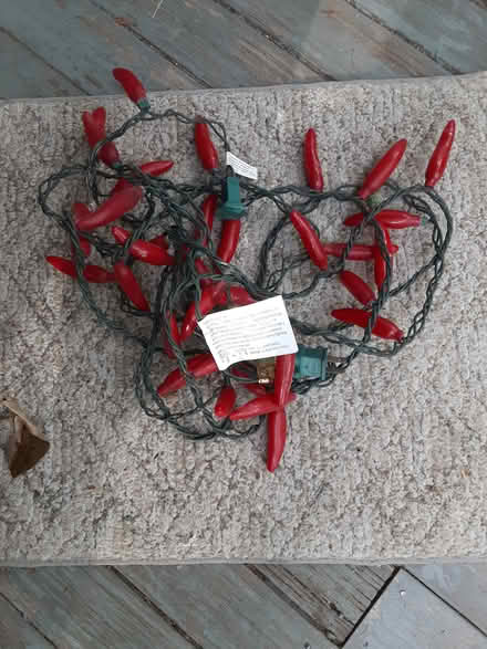 Photo of free Red Jalapeno Christmas lights (Jamaica Plain) #1