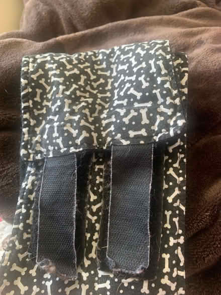 Photo of Small dog belly bands (Laurel Maryland 20708) #1