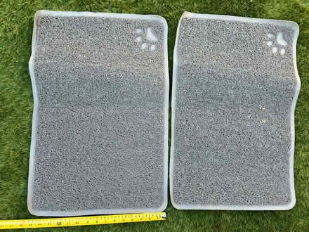 Photo of free Rubber cat litter tray Matts (Twickenham TW2) #2
