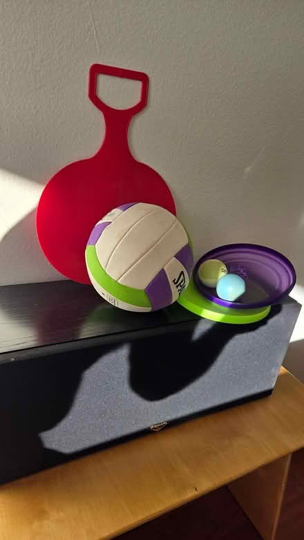 Photo of free Soccer ball, frisbees, slider (Highland park ca) #1