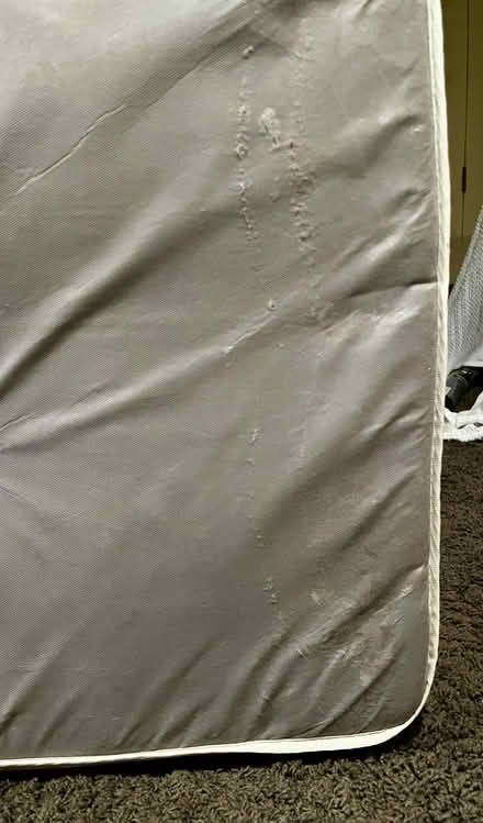 Photo of free pull out couch mattress (ne portland) #3