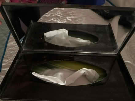 Photo of free Oriental style tissue box (Ashford TW15) #2