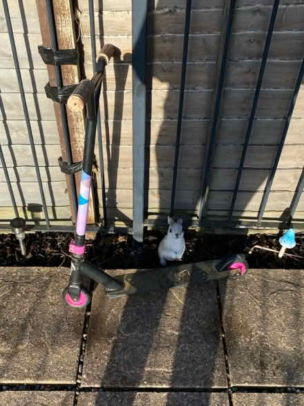 Photo of free Child scooter (Oswestry) #1