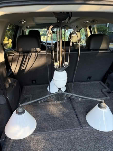 Photo of free Unique Chandelier (Falls Church City) #2