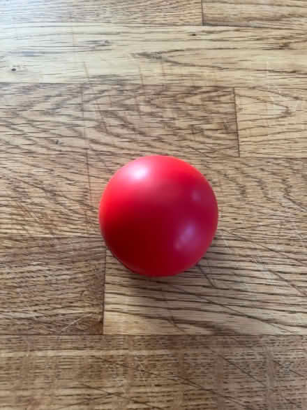 Photo of free Clown red nose NEW (Fair Lawn, NJ) #1