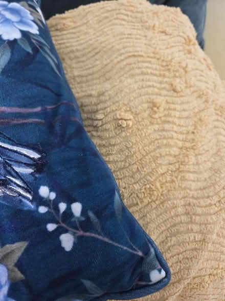 Photo of free Vintage bed throw king size (Worksop S81) #2