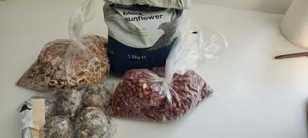 Photo of free Bird food (Colyton EX24) #1