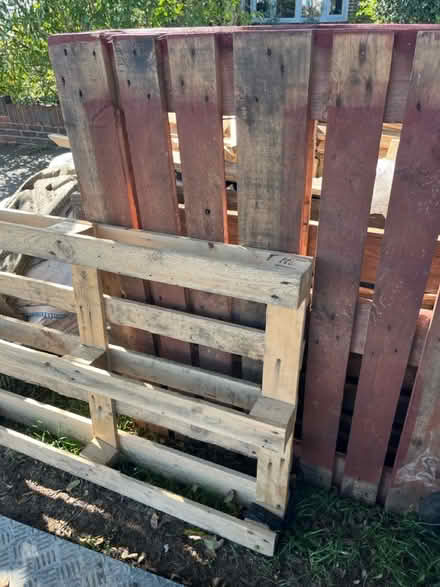 Photo of free Two pallets (BN41) #1