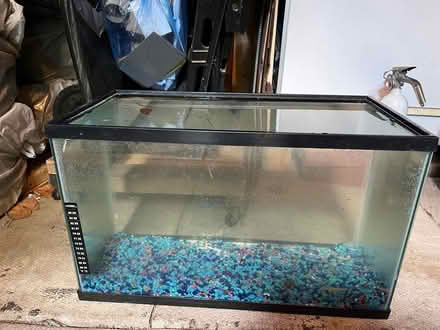 Photo of free 10 gallon fish tank (Etobicoke Royal York and Bloor) #1