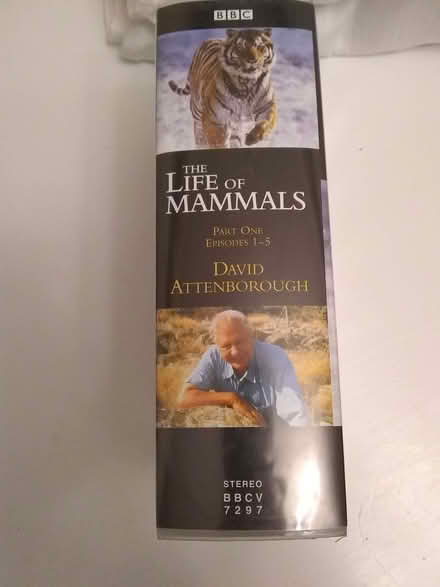 Photo of free Life of Mammals David Attenborough Videos (Sonning Common RG4) #2