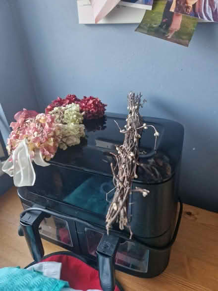 Photo of free Hanging hearts (BS39) #2