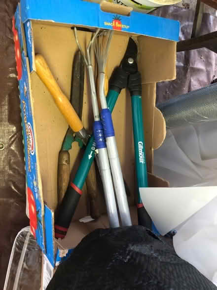 Photo of free Garden tools and plant stakes (East Watertown) #2