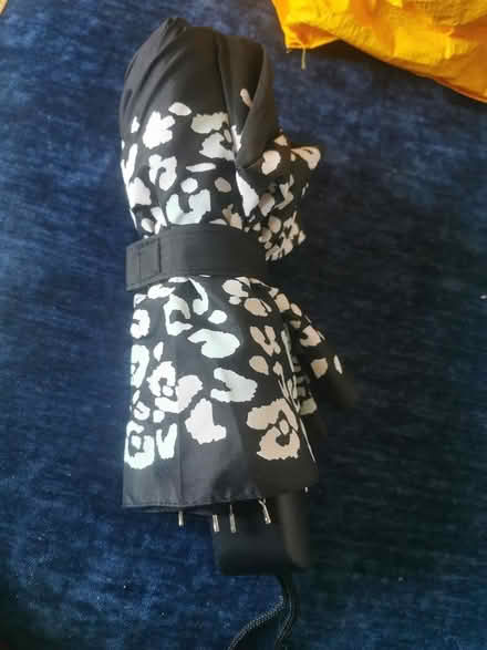 Photo of free Umbrella (Idle BD10) #1