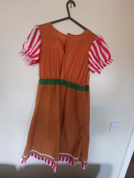 Photo of free Halloween Custome (Idle BD10) #4