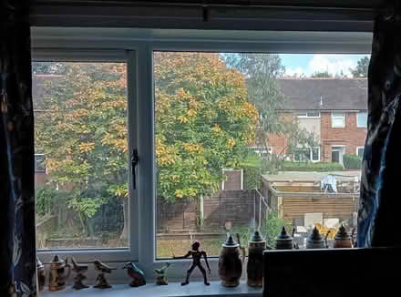 Photo of free White curtains with bird print (M23 Baguley) #2