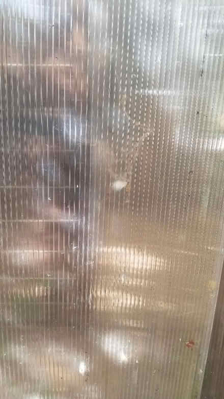 Photo of free 3 x large pieces of corrugated plastic. (Bracknell RG12) #2