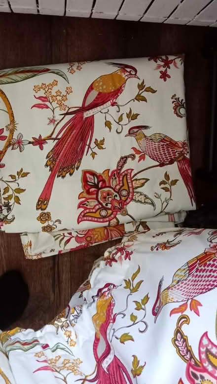 Photo of free White curtains with bird print (M23 Baguley) #1