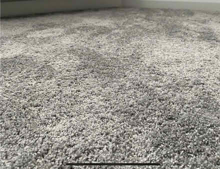 Photo of free Carpet - Platinum. Saxony Carpet (CM12) #2