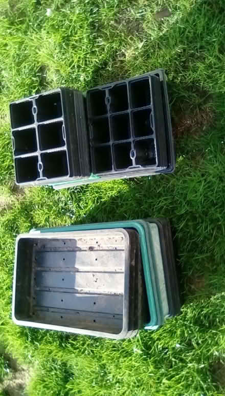 Photo of free Seed and potting on plant trays (Priorslee TF2) #1