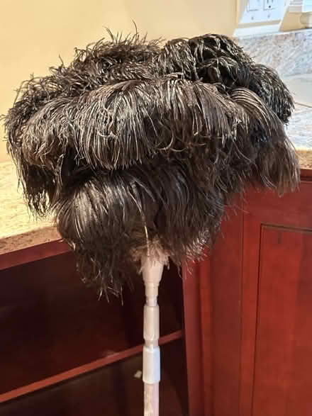 Photo of free Feather Duster (Davis Square, Somerville) #1
