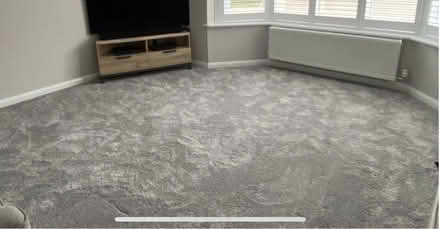 Photo of free Carpet - Platinum. Saxony Carpet (CM12) #1