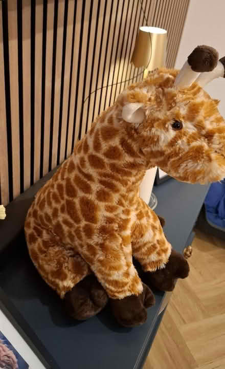 Photo of free Giraffe stuffed toy (Boughton Monchelsea ME17) #3