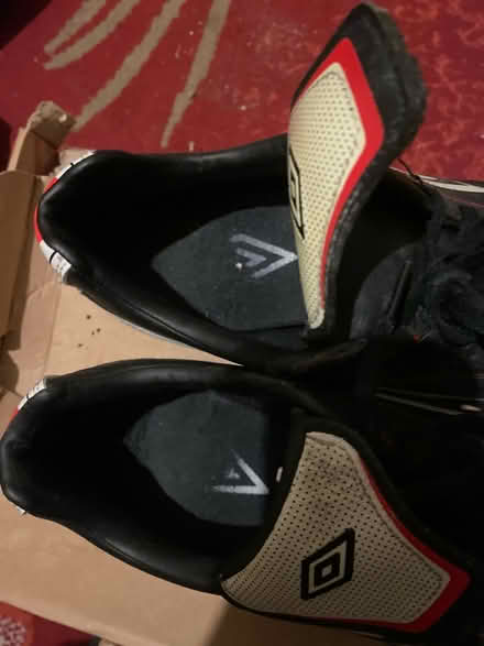 Photo of free Astro-turf boots (Beaumont LA1) #3