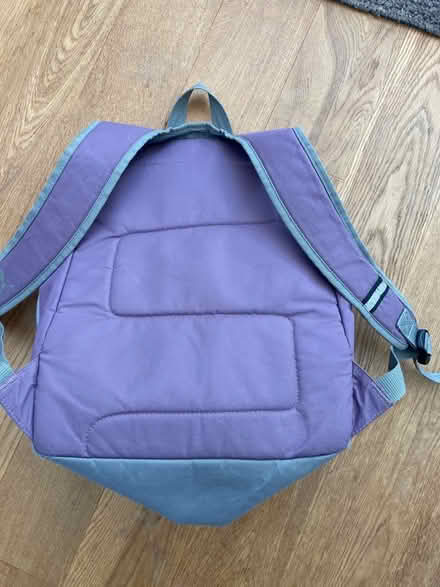 Photo of free Mauve backpack (Golden Green TN11) #2