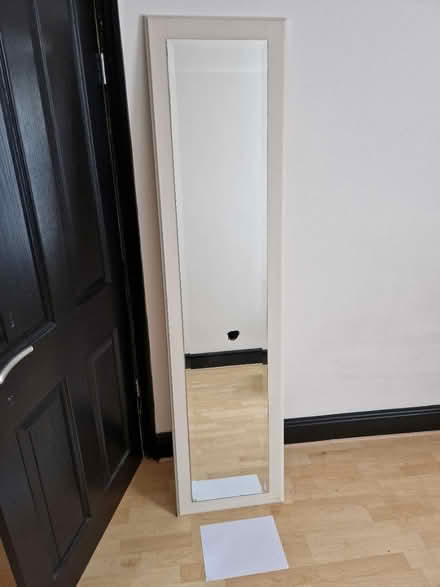 Photo of free Long Mirror (Bedminster BS3) #1