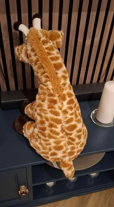 Photo of free Giraffe stuffed toy (Boughton Monchelsea ME17) #4