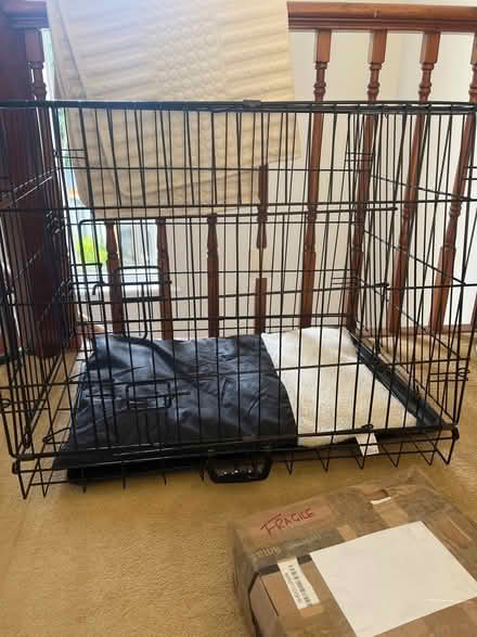 Photo of free Dog crate (Blacklands TN34) #1