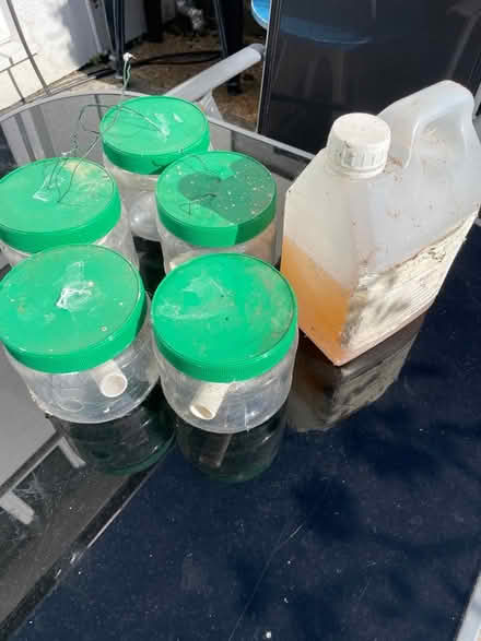Photo of free Wasp traps and liquid (Wallands Park BN7) #1