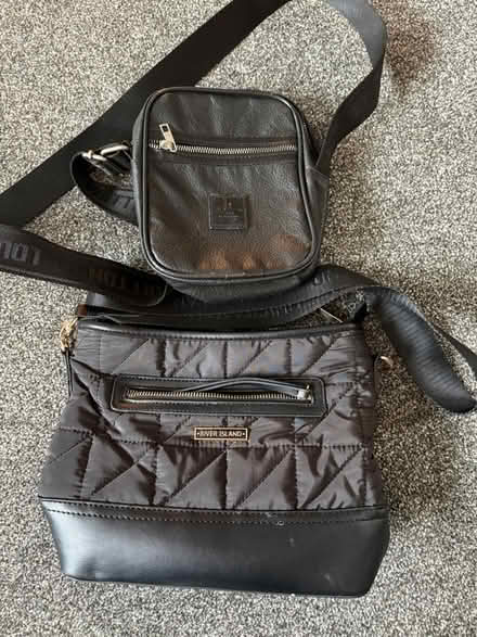 Photo of free Bags (Axminster) #1