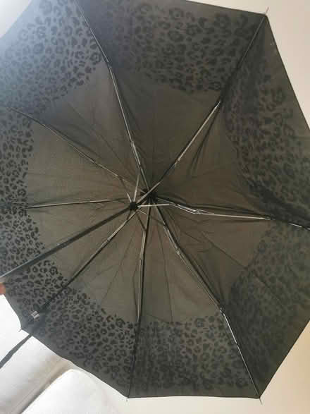 Photo of free Umbrella (Idle BD10) #3