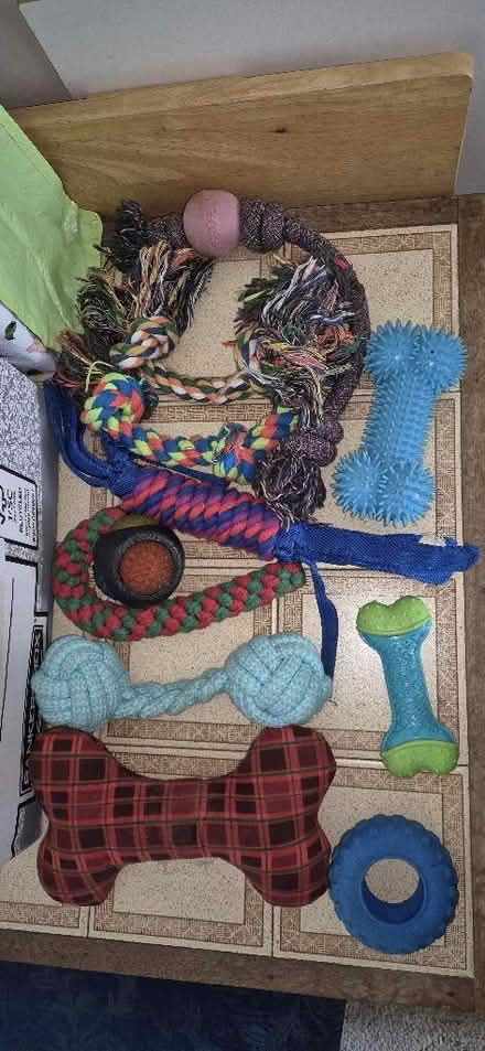 Photo of free Dog toys (Emmer Green RG4) #1