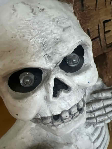 Photo of free Halloween Decoration (Southsea PO4) #3
