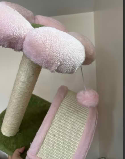 Photo of free Cat Tower + Wand Toy + Scratch Post (Flatbush) #2