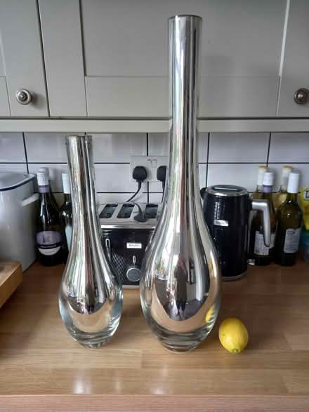 Photo of free 2 x Vases (Roundhill area brighton) #1