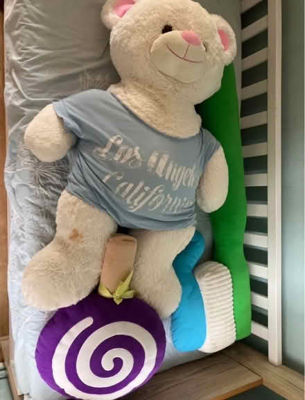 Photo of free Big Teddy bears (Headington) #1